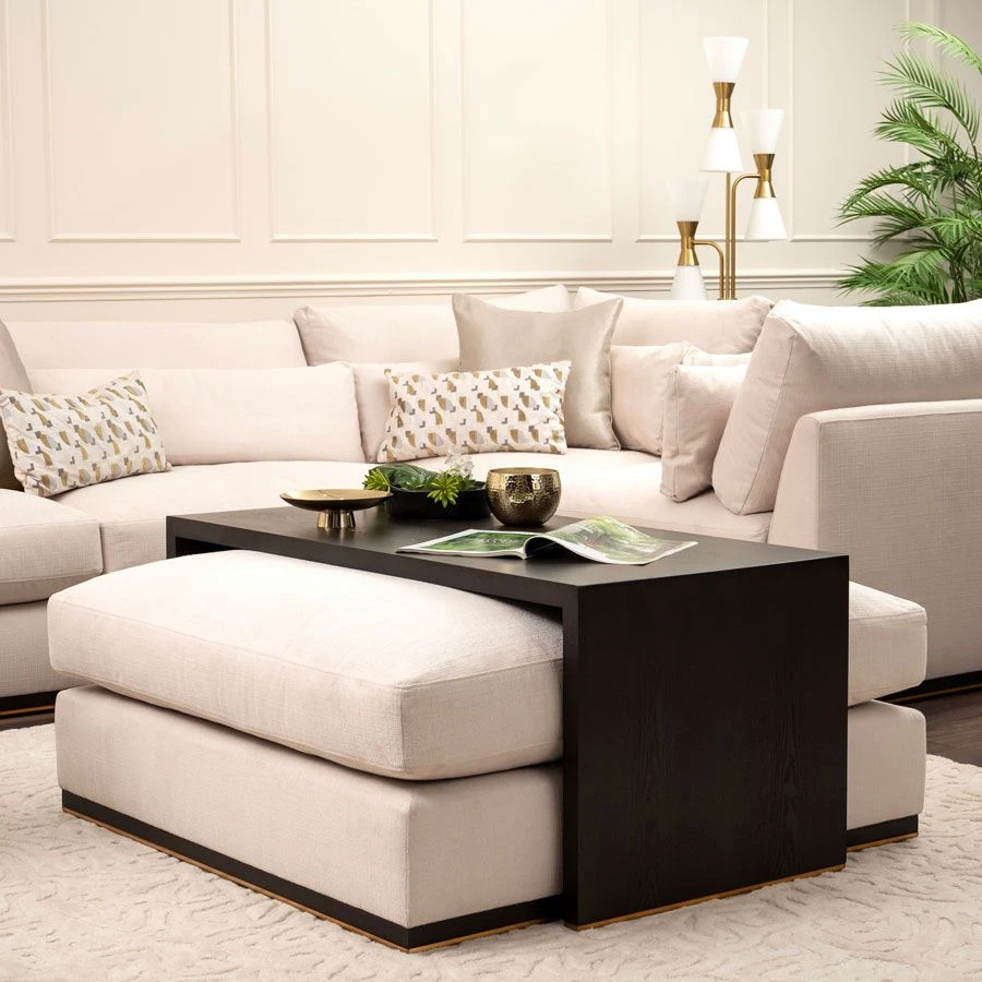 Burbank Footstool With Layered Coffee Table - Image 2