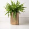 Oval Bin/Planter - Brass 2 Oval Bin/Planter - Brass -Furniture Sale Store copper bin with plant web ready