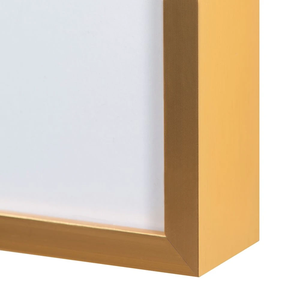 Coral Cosmos No.3 Wall Art - Brass Frame 5 Coral Cosmos No.3 Wall Art - Brass Frame - Image 3