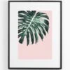Tropical Blush No.2 Wall Art - Black Frame -Furniture Sale Store ko10 14 tropical blush no.2 black cutout 01 web