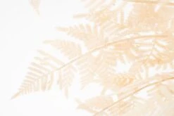 Large Artificial Bleached Fern Stem -Furniture Sale Store nif11 detail web