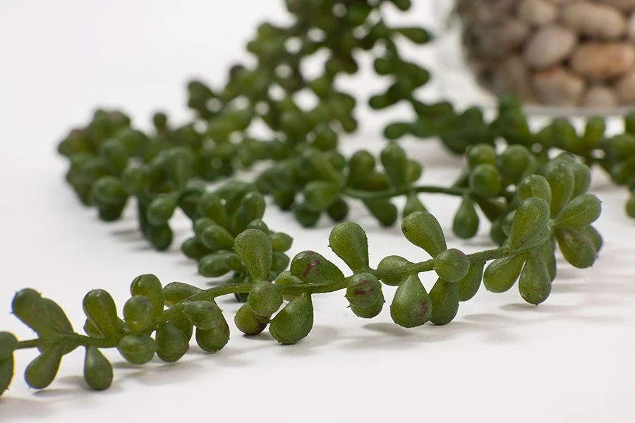 Artificial String Of Pearls Vine 5 Artificial String Of Pearls Vine - Image 3