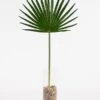 Artificial Large Fan Palm Leaf 1 Artificial Large Fan Palm Leaf -Furniture Sale Store nif15 web