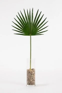 Artificial Large Fan Palm Leaf