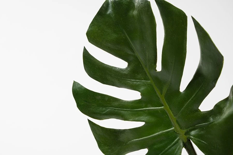 Artificial Large Cheese Plant Leaf 5 Artificial Large Cheese Plant Leaf - Image 3