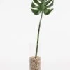Artificial Large Cheese Plant Leaf -Furniture Sale Store nif16 web
