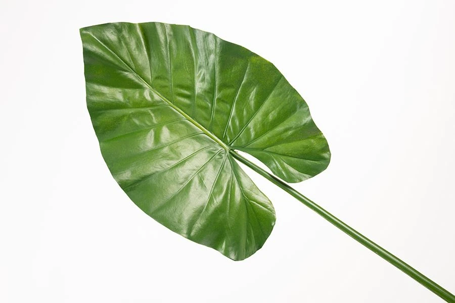 Artificial Large Elephants Ear Leaf 5 Artificial Large Elephants Ear Leaf - Image 3