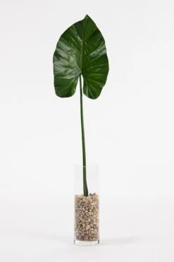 Artificial Large Elephants Ear Leaf