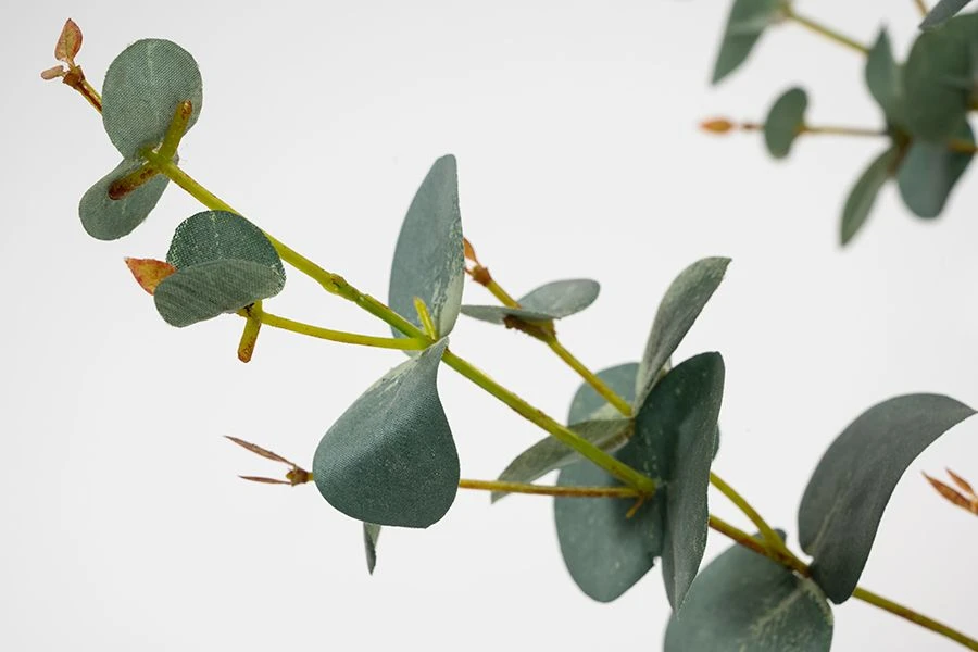 Artificial Large Eucalyptus Stem 5 Artificial Large Eucalyptus Stem - Image 3