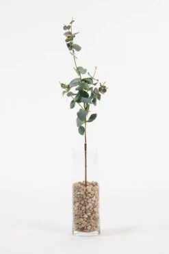 Artificial Large Eucalyptus Stem