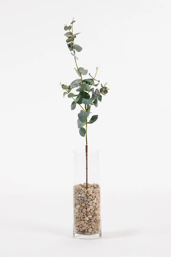 Artificial Large Eucalyptus Stem 3 Artificial Large Eucalyptus Stem
