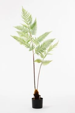 Large Artificial Fern Plant