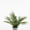 Potted Artificial Palm Plant -Furniture Sale Store nif5 web