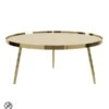 Panatella Brass Coffee Table 2 Panatella Brass Coffee Table -Furniture Sale Store panatella coffee table brass 01 web 1